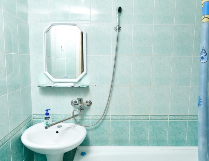 Место в 2х местный стандарт - Санаторий «Сосновый Бор» Зудилово