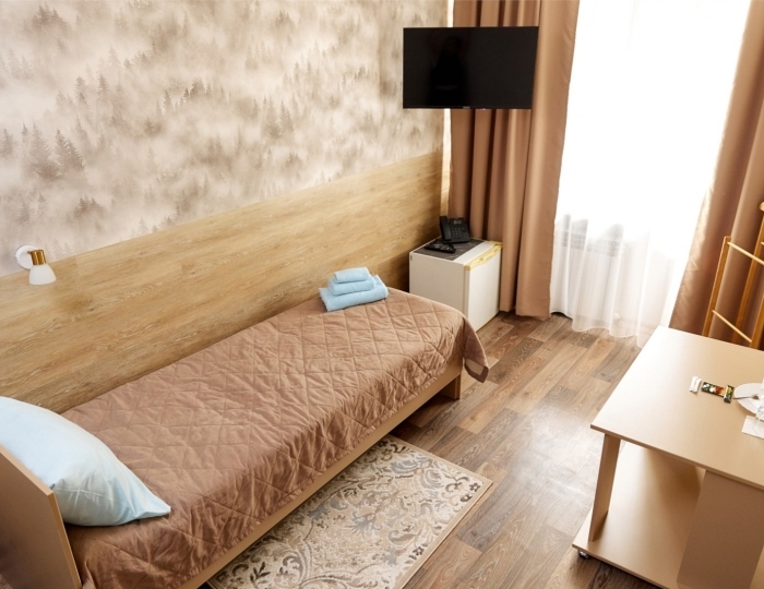 Одноместный Стандарт Плюс - Санаторий «Сосновый Бор» Зудилово