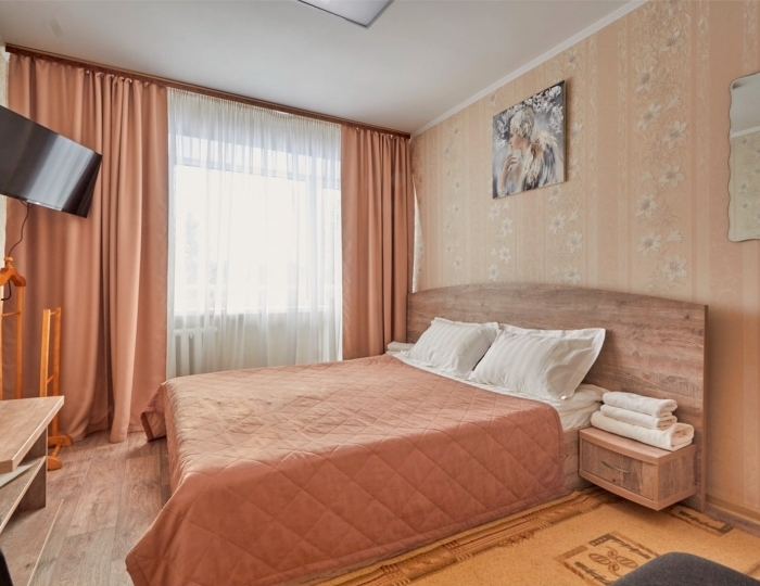 Однокомнатный с двуспальной кроватью - Санаторий «Сосновый Бор» Зудилово