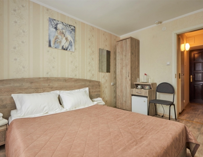 Однокомнатный с двуспальной кроватью - Санаторий «Сосновый Бор» Зудилово