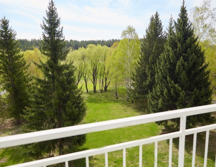 Однокомнатный с двуспальной кроватью - Санаторий «Сосновый Бор» Зудилово