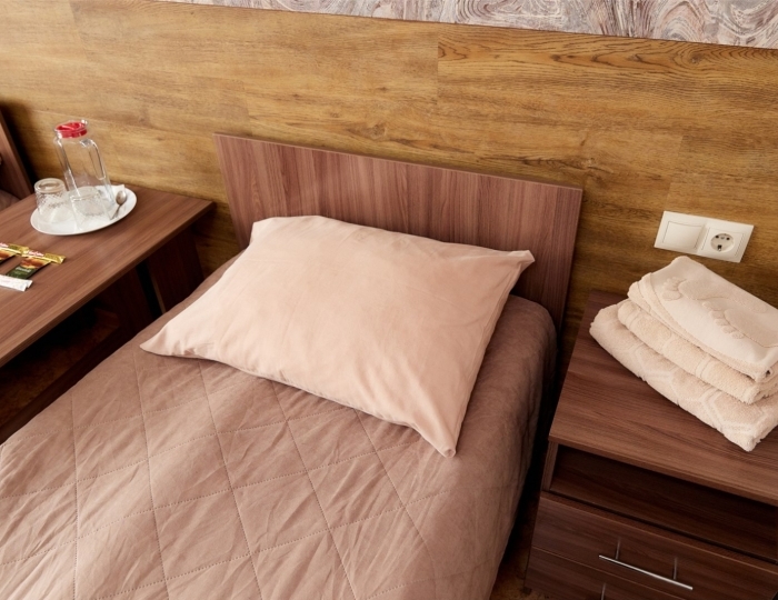 Двухместный Стандарт - Санаторий «Сосновый Бор» Зудилово