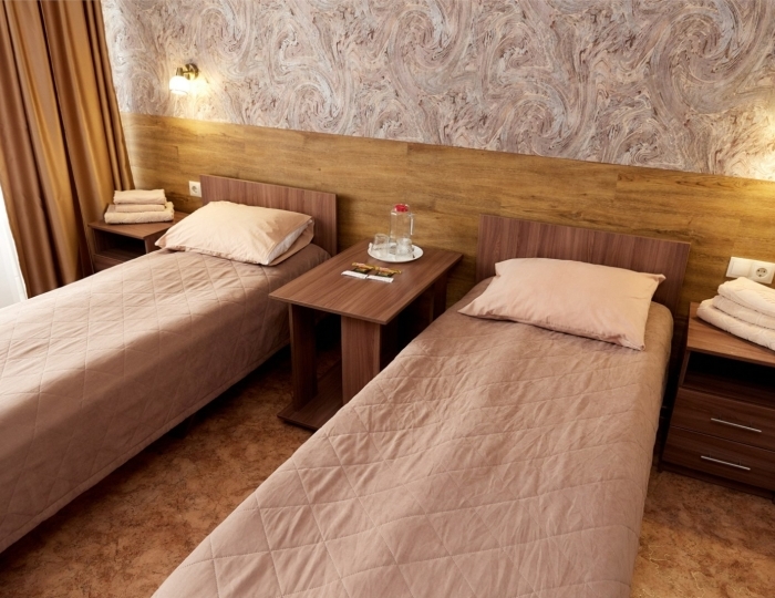 Двухместный Стандарт - Санаторий «Сосновый Бор» Зудилово