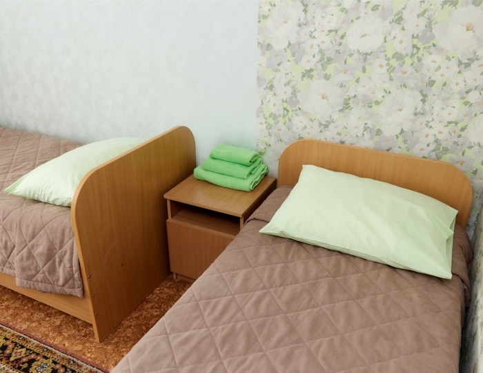 Трехместный Стандарт - Санаторий «Сосновый Бор» Зудилово