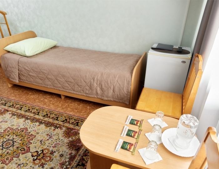 Трехместный Стандарт - Санаторий «Сосновый Бор» Зудилово