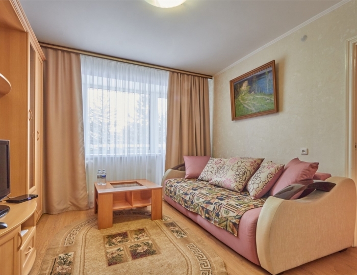 Двухкомнатный Люкс - Санаторий «Сосновый Бор» Зудилово