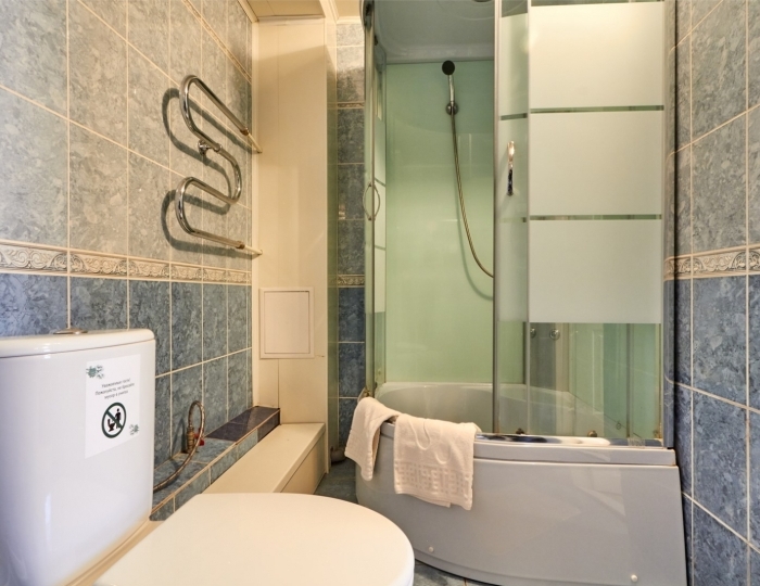 Двухкомнатный Люкс - Санаторий «Сосновый Бор» Зудилово