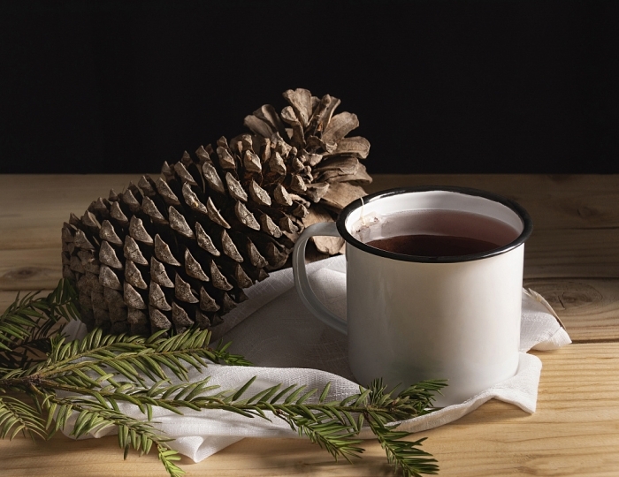 Фитобар - Санаторий «Сосновый Бор» Зудилово